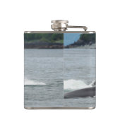 Flasques Alimentation des baleines à bosse (Dos)
