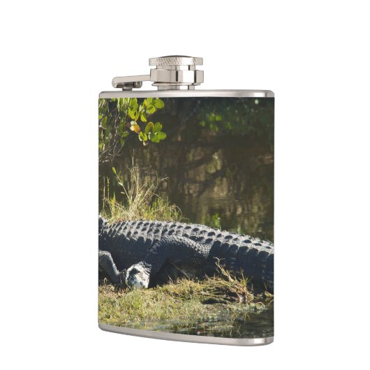 Flasques Alligator américain se reposant le long d'une zone (Gauche)