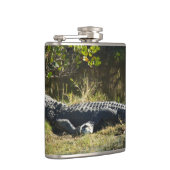 Flasques Alligator américain se reposant le long d'une zone (Droite)