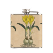 Flasques Amaryllis Tulip Jardin Botanique Fleur (Dos)