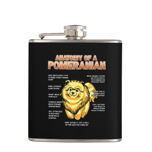 Flasques Anatomie d'un Poméranien (Devant)