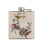 Flasques Audubon Peint Bunting Bird Wildlife (Dos)