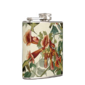 Flasques Audubon Throsé de colibri (Droite)