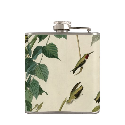 Flasques Audubon Throsé de colibri (Dos)