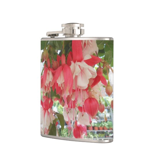 Flasques Bachkirtseff (Gauche)