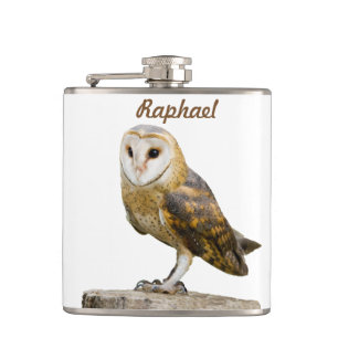 Flasques Barn Owl
