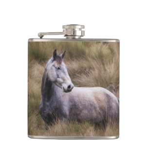 Flasques Beau cheval gris couleur