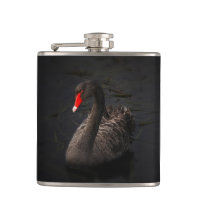 Beau cygne noir avec un bec rouge vif