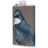 Flasques Beau oiseau chevalier en hirondelle d'arbre sur fi (Gauche)