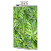 Flasques Beaucoup de belles feuilles vertes  (Gauche)