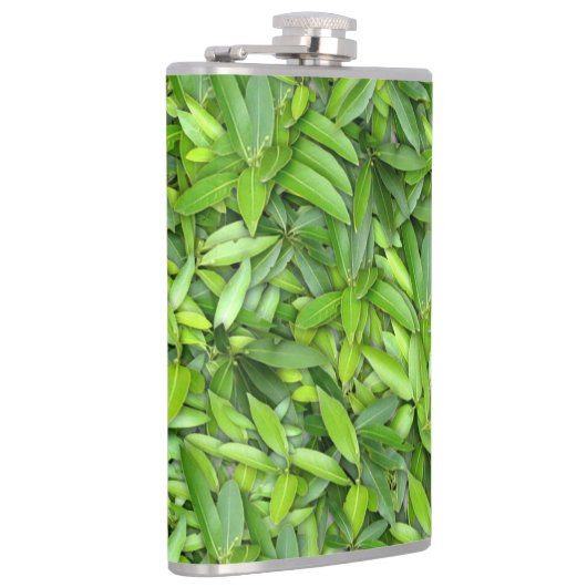 Flasques Beaucoup de belles feuilles vertes  (Droite)