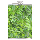 Flasques Beaucoup de belles feuilles vertes  (Devant)