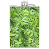 Flasques Beaucoup de belles feuilles vertes  (Dos)