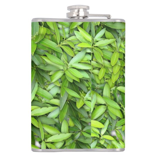 Flasques Beaucoup de belles feuilles vertes  (Dos)