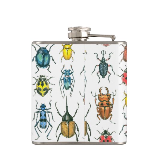 Flasques Beetles (Dos)