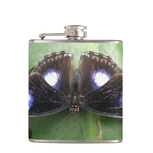 Flasques Belle fiole à papillon tacheté bleu (Devant)