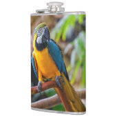 Flasques Belle Macaw Bleue et Or (Gauche)