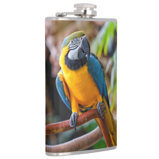 Flasques Belle Macaw Bleue et Or (Droite)