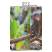 Flasques Belle Macaw Bleue et Or (Dos)