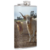 Flasques Bétail sur la perte : Highland Cows Blé Heist (Droite)