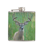 Flasques Big Buck (Devant)