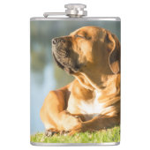 Flasques Boerbol (Devant)