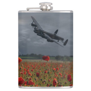 Flasques Bombe De Lancaster Sur Un Champ De Populations