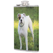 Flasques Boxer (Gauche)