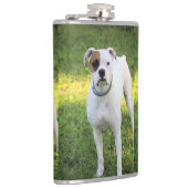 Flasques Boxer (Droite)