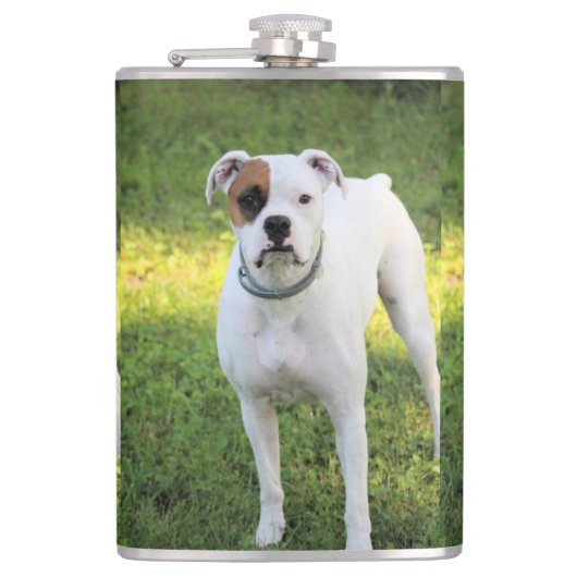 Flasques Boxer (Devant)