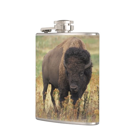 Flasques Buffalo de bison (Gauche)