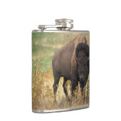 Flasques Buffalo de bison (Droite)