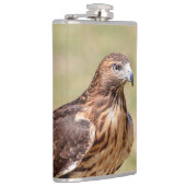 Flasques Buse à queue rouge dans la vallée de l'Hudson (Droite)