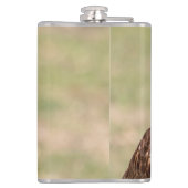 Flasques Buse à queue rouge dans la vallée de l'Hudson (Dos)