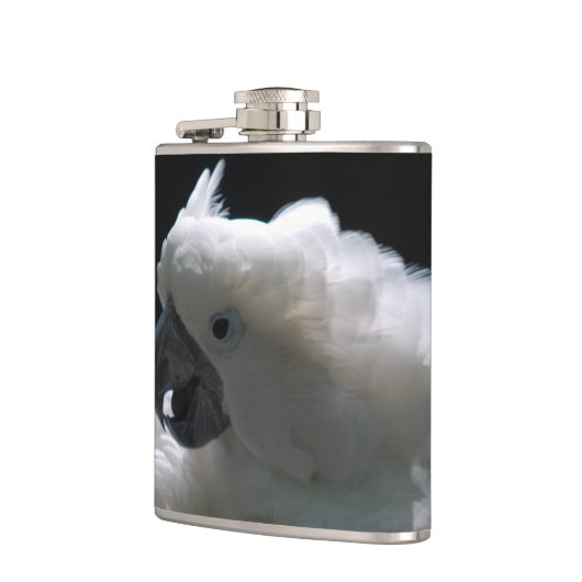 Flasques Cacatoès (Gauche)