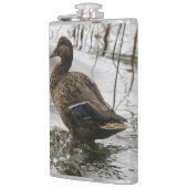 Flasques Canard gris sur le lac sombre (Gauche)