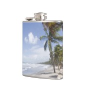 Flasques Caraïbes - Trinidad - Manzanilla Beach sur (Gauche)