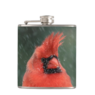 Flasques Cardinal dans un pin pendant une tempête de neige