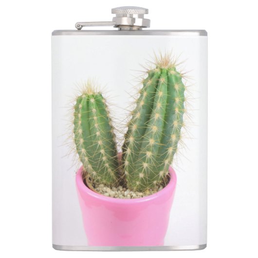 Flasques Cereus cactus (Devant)