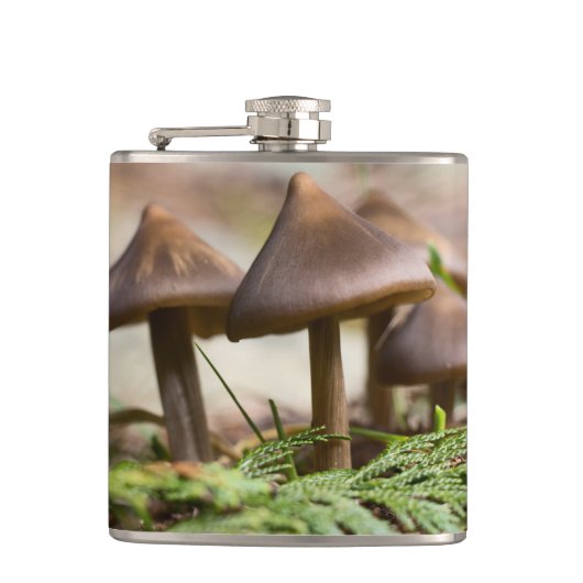 Flasques Champignons dans la forêt (Devant)