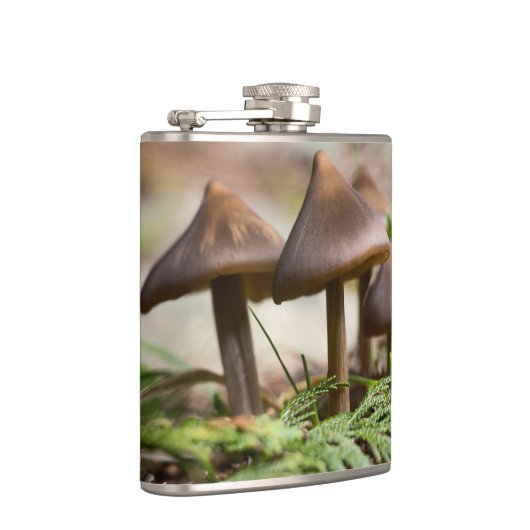 Flasques Champignons dans la forêt (Droite)