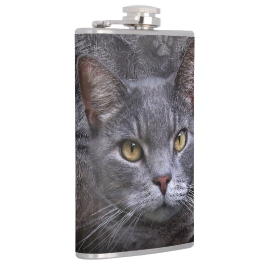 Flasques Chat gris (Droite)