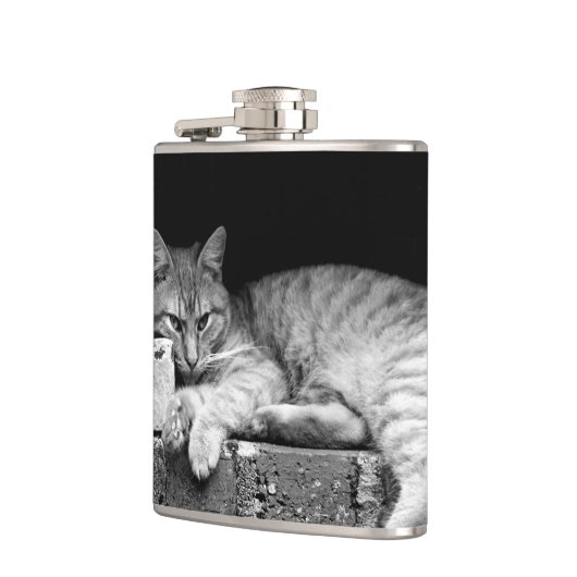 Flasques Chat sur mur de brique (Gauche)