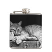 Flasques Chat sur mur de brique (Devant)