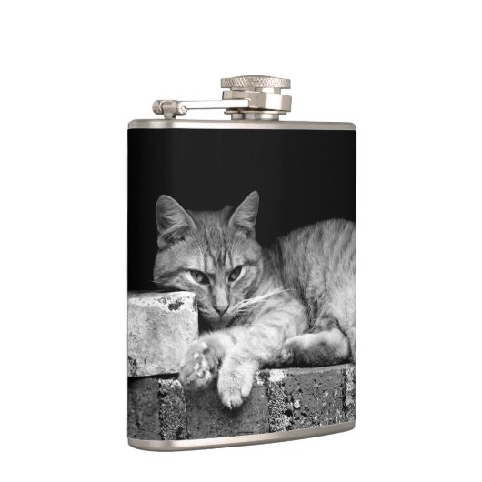 Flasques Chat sur mur de brique (Droite)