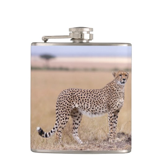 Flasques Cheetah (Devant)