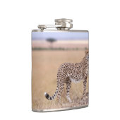 Flasques Cheetah (Droite)
