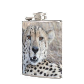 Flasques Cheetah Portrait (Gauche)