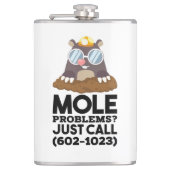 Flasques Chemistry - Mole Problems  (Devant)