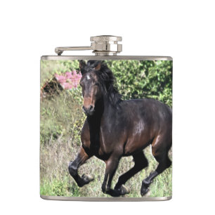 Flasques Cheval de châtaignier à galop